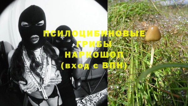 гашик Кодинск