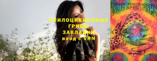 spice Абинск