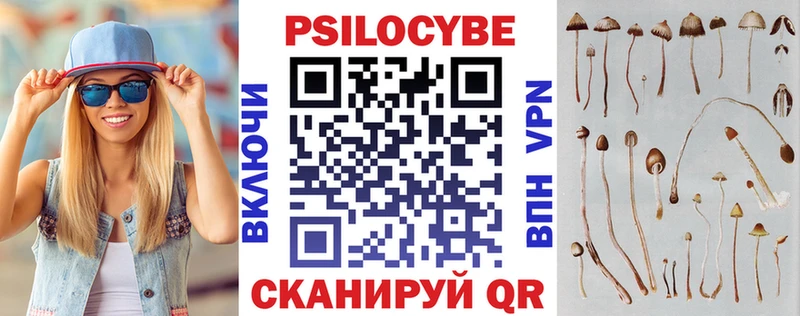 это как зайти  Тотьма  Псилоцибиновые грибы Cubensis 
